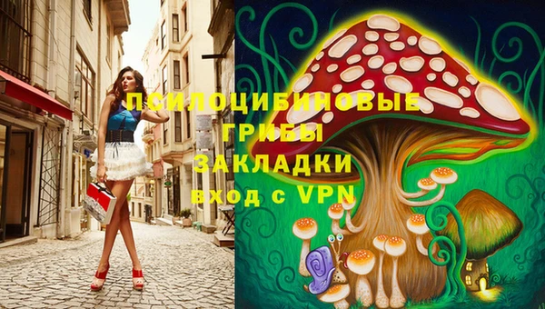 соль ск Аркадак