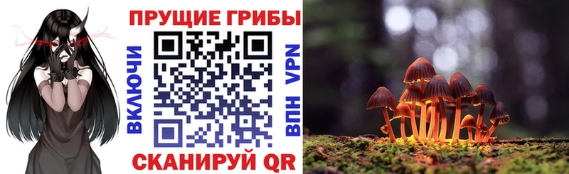 Галлюциногенные грибы Magic Shrooms  Перевоз 
